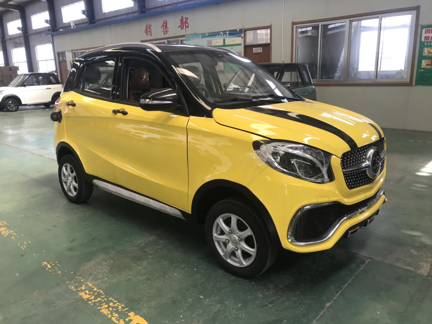 Shandong Gaia New Energy Tech. Co.,Ltd._Cheapest EV_Electric cars